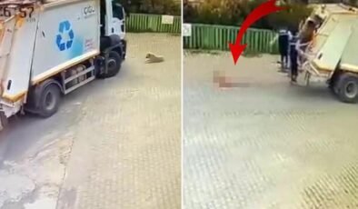 Çöp kamyonunun altında kalan köpek, feci şekilde can verdi