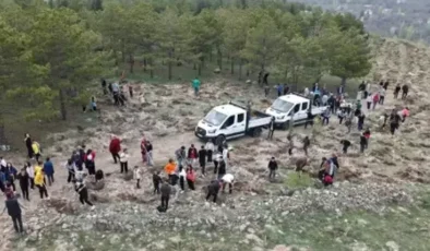 Kayseri’de 3 Bin Fidan Toprakla Buluştu