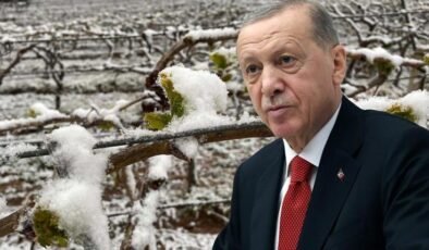 Ürünlerin isimlerini tek tek saydı: Bu sene sıkıntı yaşayacağız